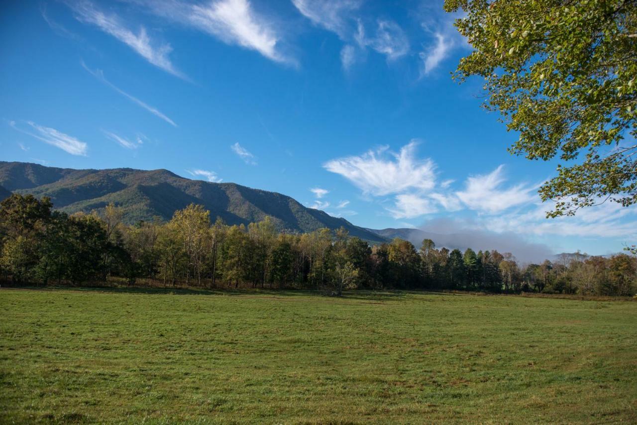 Вілла Bearfoot Retreat Waldens Creek Екстер'єр фото
